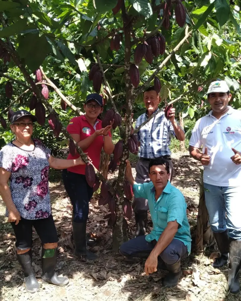 Cultivo-WK2-2-e1642019177396