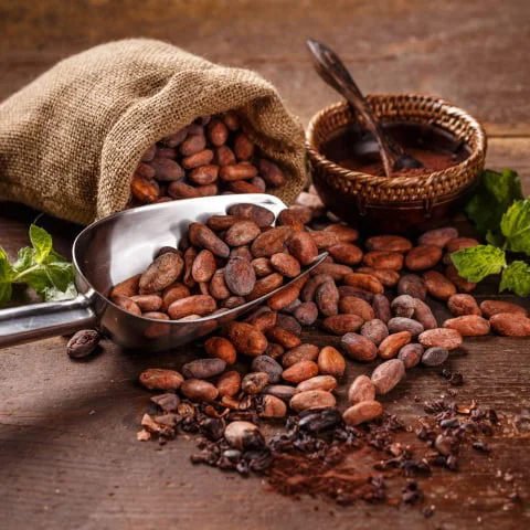 cocoa-concept-2021-08-26-17-52-27-utc-1-Pequeno
